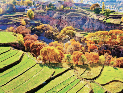 初冬，青海大美依旧，自驾游青海