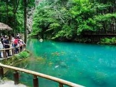 雁荡山国家森林公园