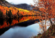 春运提醒：今年回家过年，这些要点需牢记