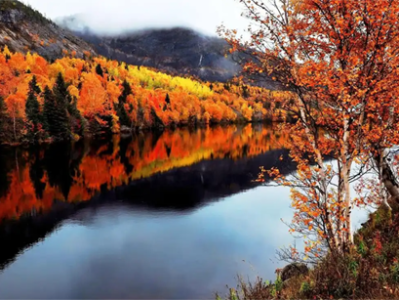 夏季暑期武夷山亲子游攻略